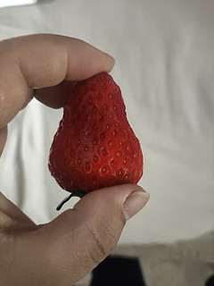 安全下车，大凉山红颜99草莓🍓，甜蜜与营养的完美邂逅！