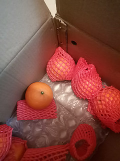 水果精品果冻橙
