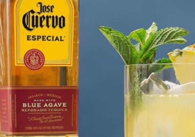 龙舌兰的醇香之旅：历史、口感与三款精选品牌