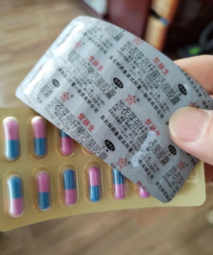 整肠生消化系统