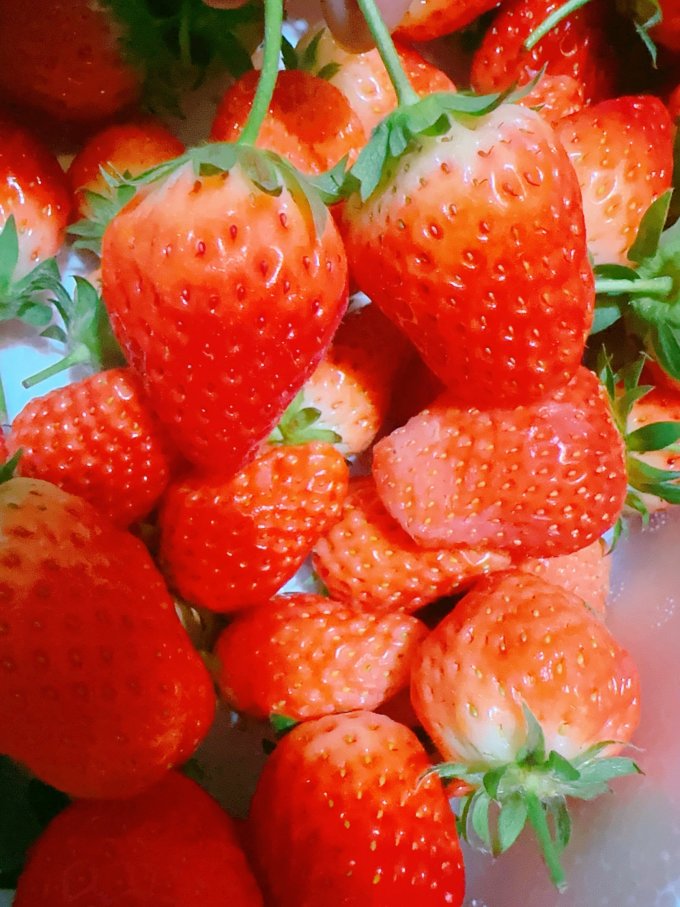 草莓