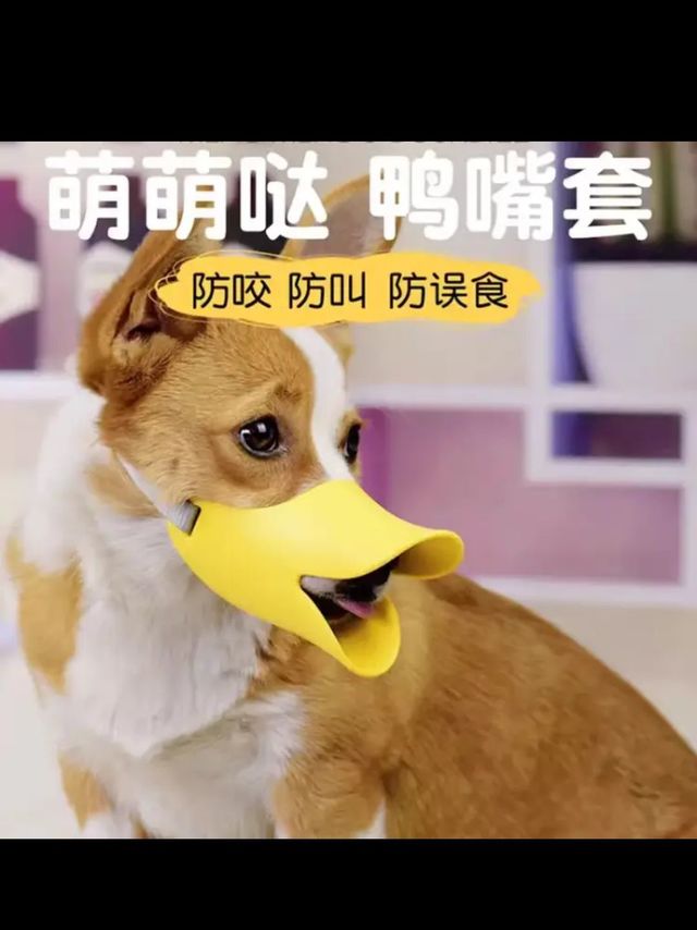 优宠君嘴罩防狗咬神器狗套宠物口罩防咬乱吃防叫器防狗叫S