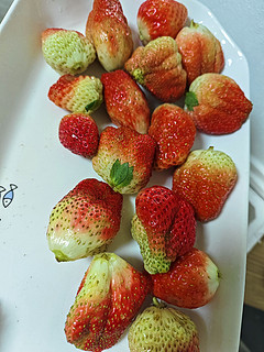 梦芷大凉山奶油草莓