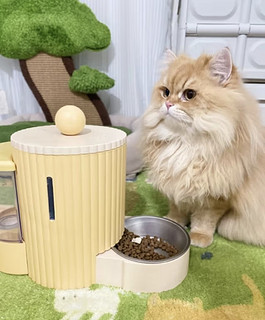 HELLOJOY猫咪自动喂食器储粮桶饮水机一体猫碗猫食盆狗吃饭喝水 黄色