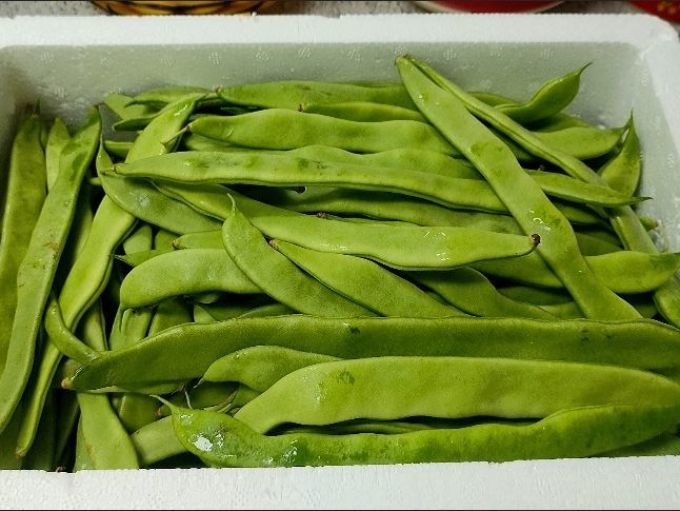 云南现摘扁豆四季豆刀豆无筋豆芸豆荷兰豆当季现摘新鲜蔬菜3510