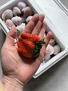 超值的一次草莓购买经历