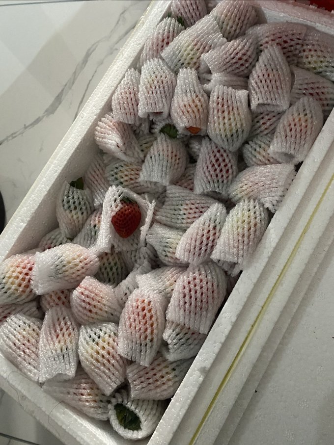 梦芷新鲜水果