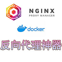 Docker 篇十三：很强！Docker部署反向代理神器：Nginx Proxy Manager