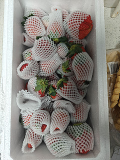 新买的草莓，大个，价格实惠