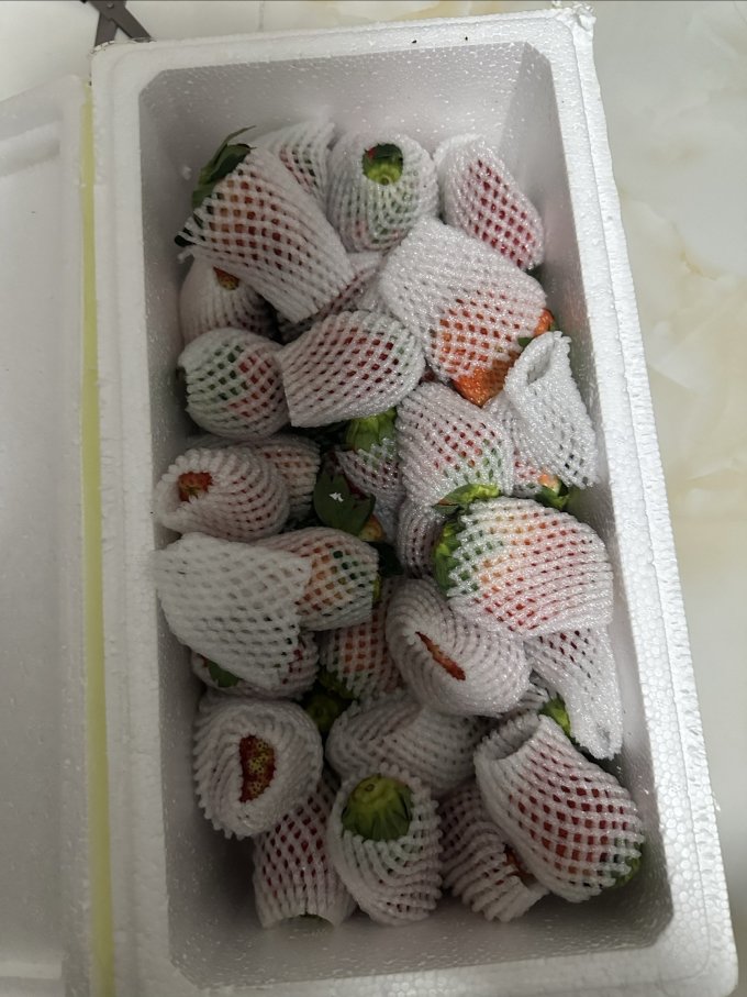 新鲜水果