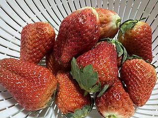 优洒家的草莓到货了，太实惠了！！！！