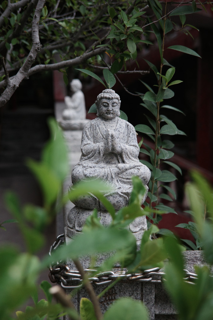 理光数码相机