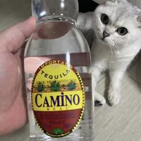 懒虫银龙舌兰酒 CAMINO REAL 750ml 墨西哥 长岛冰茶 年货节畅饮