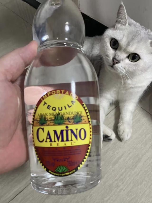 懒虫银龙舌兰酒 CAMINO REAL   750ml 墨西哥 长岛冰茶 年货节畅饮