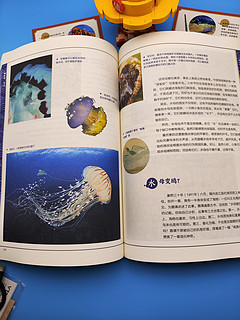 海错图笔记，带你了解各种海洋生物