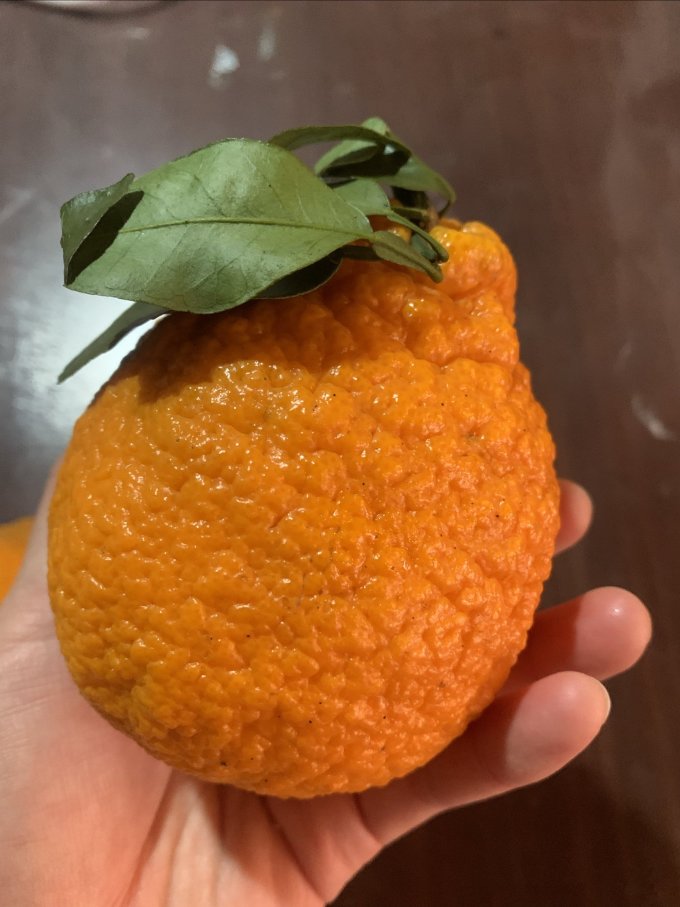 牛爱鲜新鲜水果