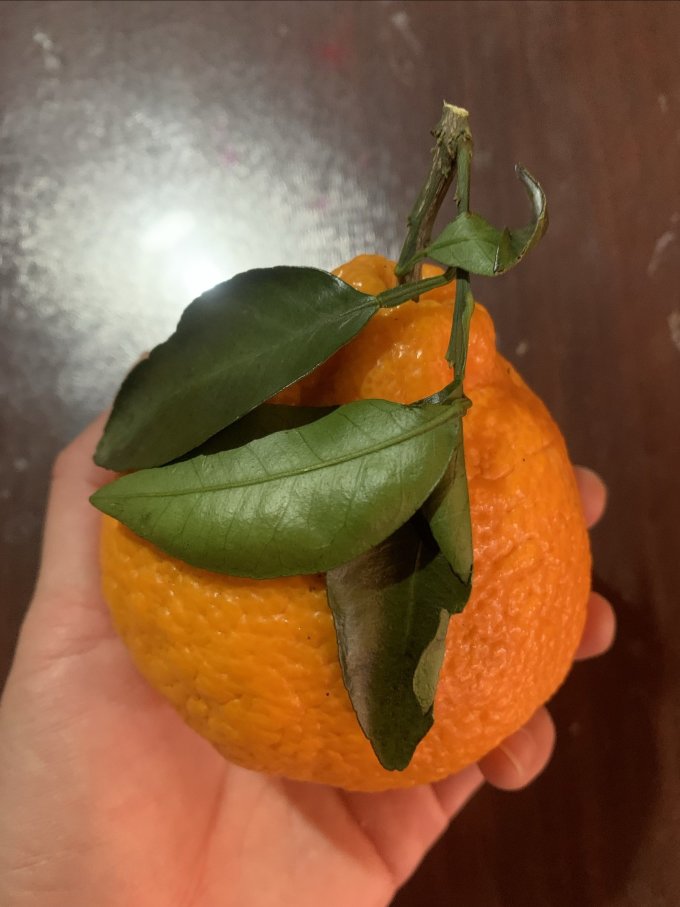 牛爱鲜新鲜水果