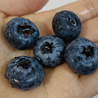 蓝莓要买大果好吃