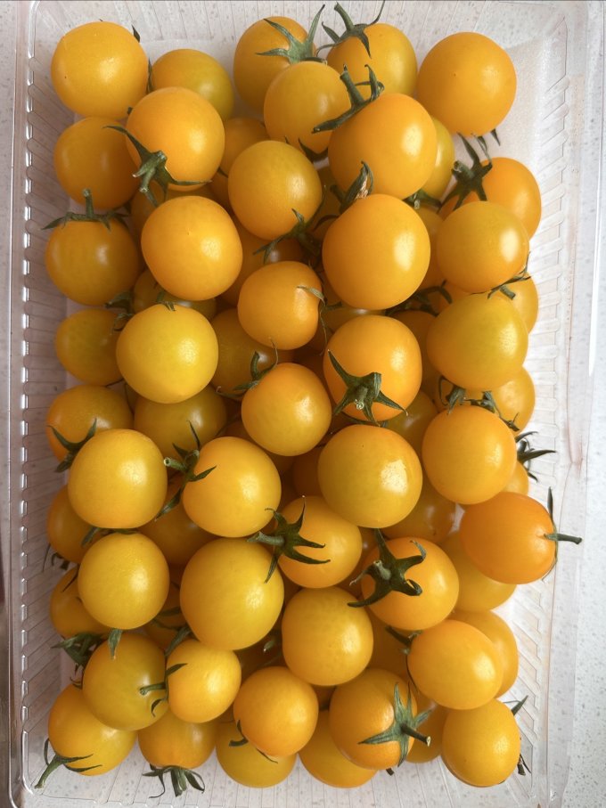 采鲜惠蔬菜