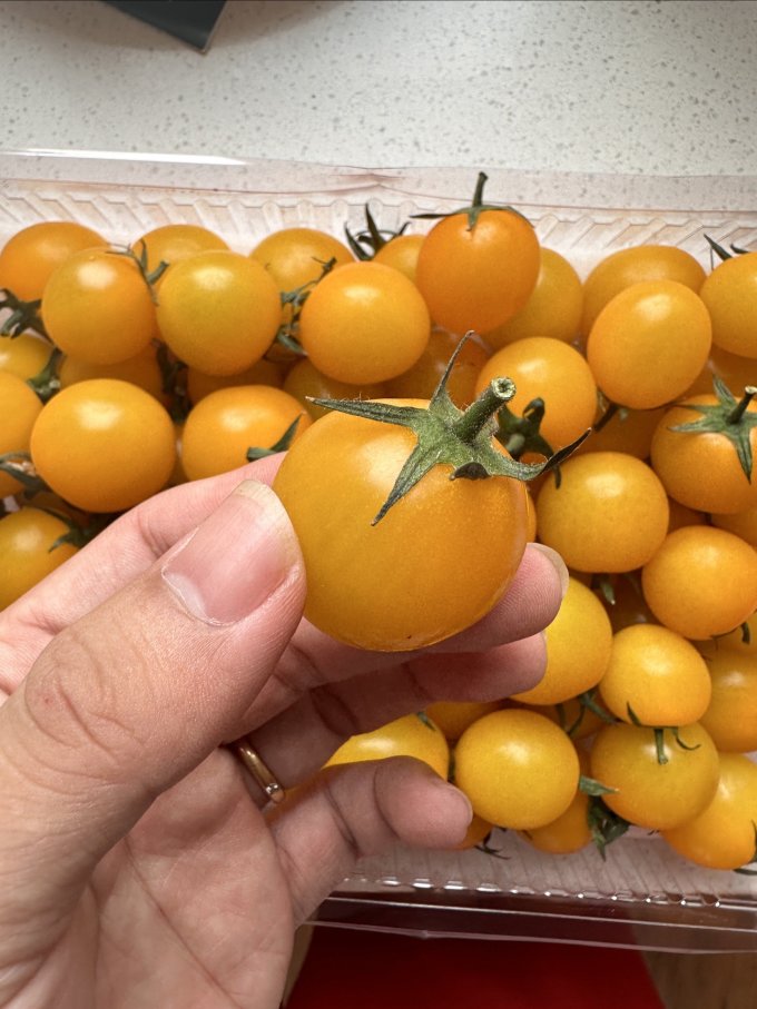 采鲜惠蔬菜