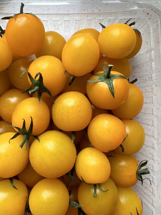 采鲜惠蔬菜