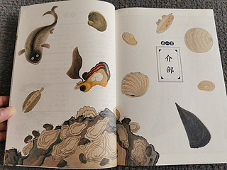《海错图笔记》青少版 2 让孩子更了解海洋知识