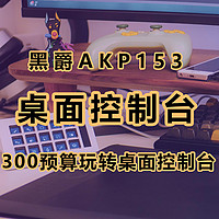 平替终于啦！300元的小玩具，不仅能控制电脑，还能作为智能家居控制台