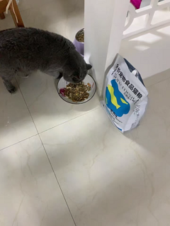 奥丁鲜肉猫粮冻干成猫幼猫纯布偶流浪猫国产全价旗舰店官方正品粮