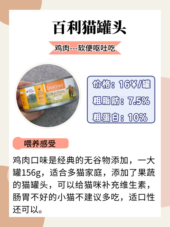 希喂猫咪湿粮/罐头