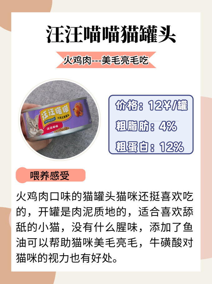 希喂猫咪湿粮/罐头
