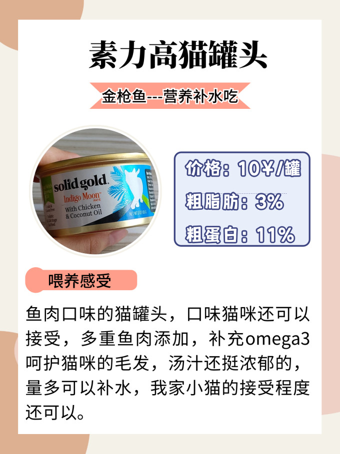 希喂猫咪湿粮/罐头