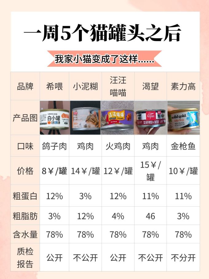 希喂猫咪湿粮/罐头