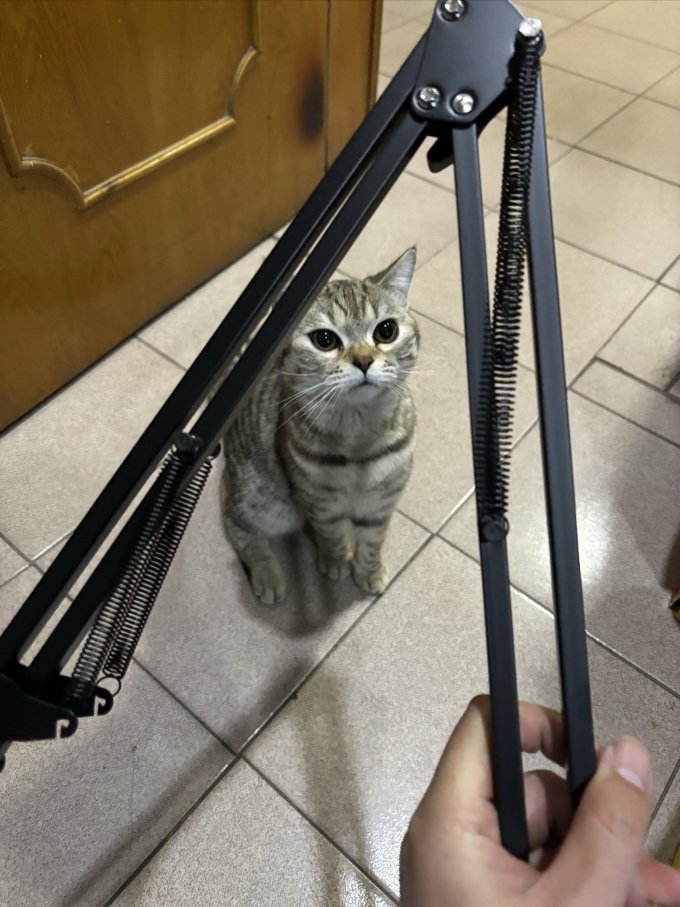 其他数码配件