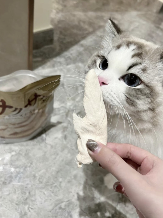 猫咪零食罐/妙鲜包