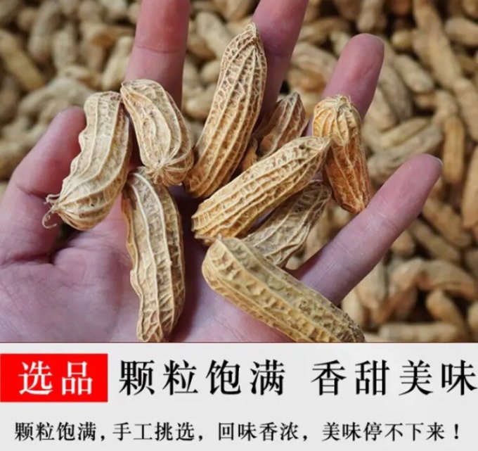魏尔夫坚果炒货
