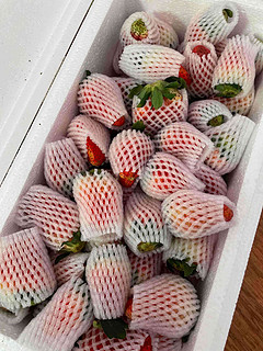 京东京闵生鲜卖场型旗舰店草莓！