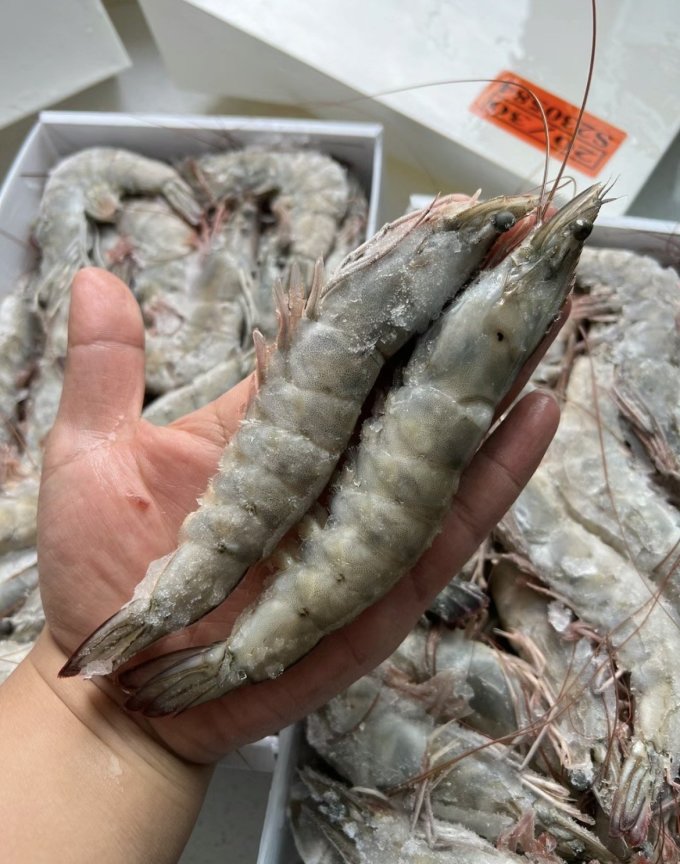 海泽鲜海鲜水产