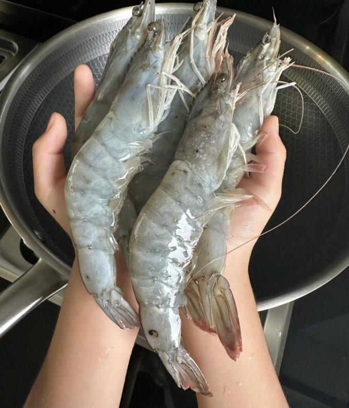 海泽鲜海鲜水产