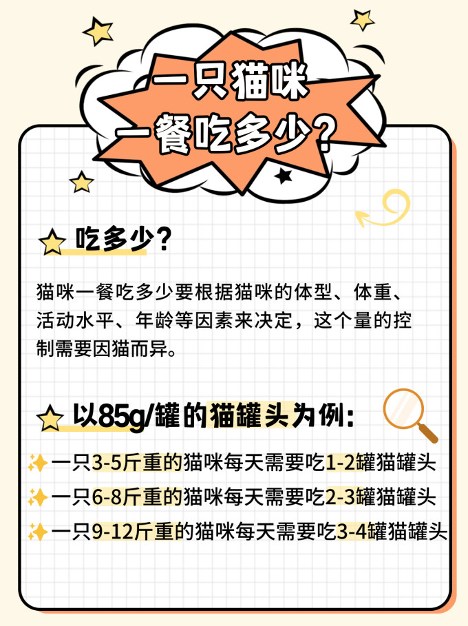 希喂猫咪湿粮/罐头