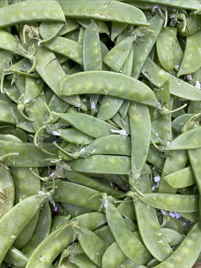 绿食者蔬菜