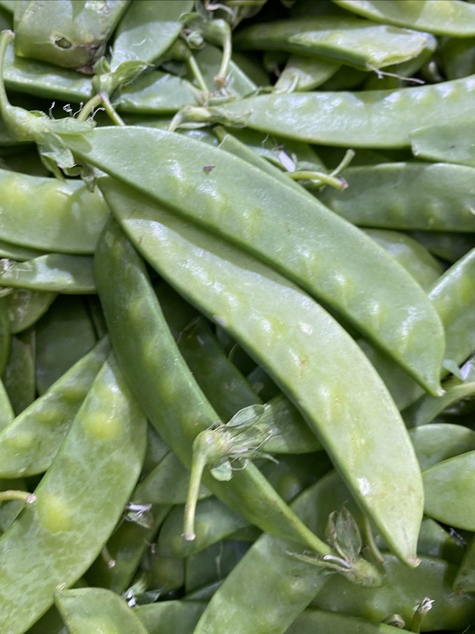 绿食者蔬菜