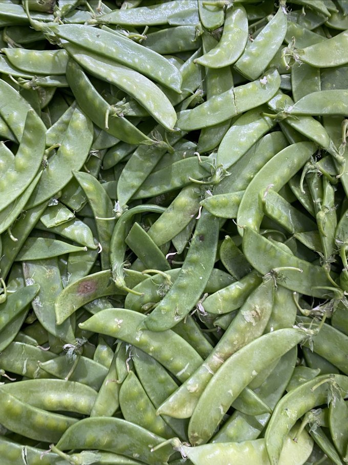 绿食者蔬菜