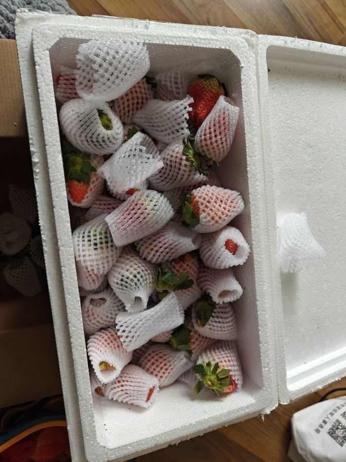 草莓