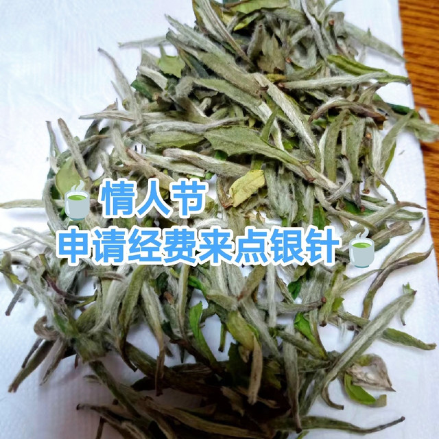 假如情人节我泡上白毫银针，阁下又应该如何应对