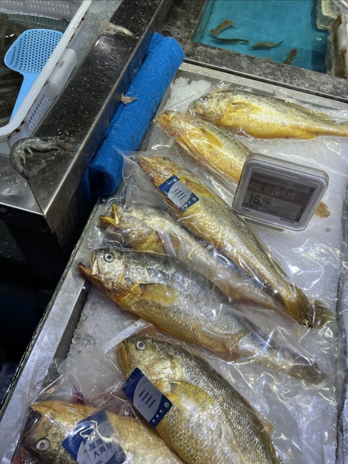 海名威鱼类