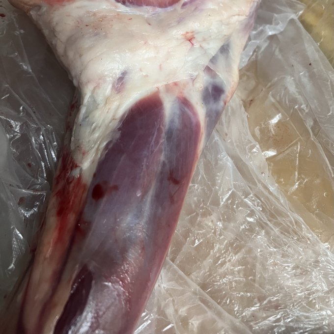 蒙羊煌禽蛋肉类