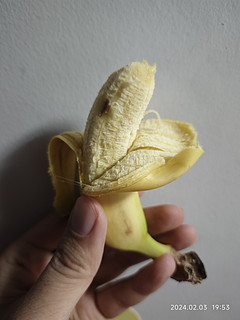 香蕉好小，猴子都不吃！