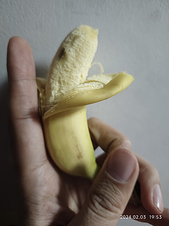 香蕉好小，猴子都不吃！