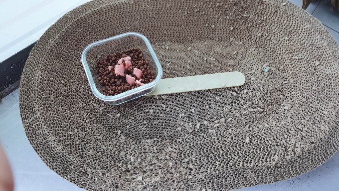 盒边猫零食