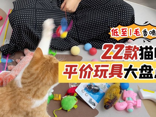 猫玩具测评！好用不贵低至1毛